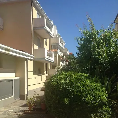 Le Palme *